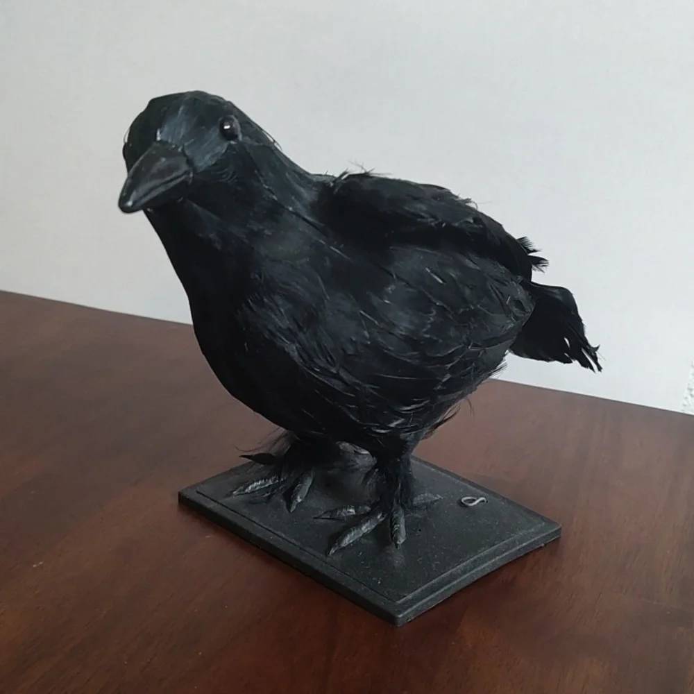 Black Raven Crow Sculpture Real Feathers Bird Halloween Decor Movie Set Prop - Picture 2 of 14